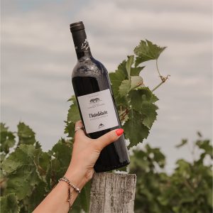 Coffret château le bosquet des fleurs